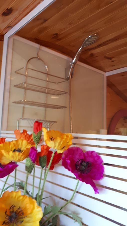 Chambres et Roulotte de La Gentilhommière Chazey-sur-Ain Esterno foto
